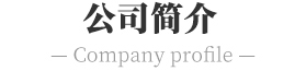 公司简介